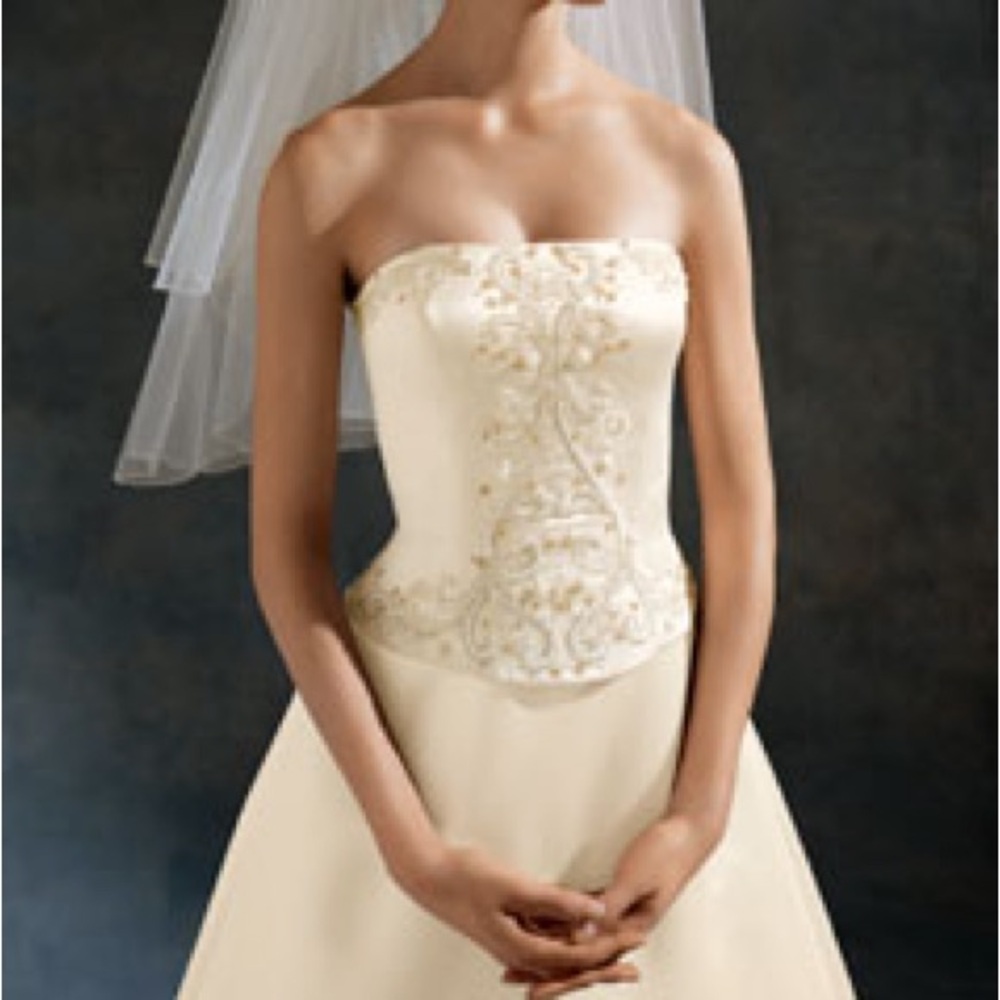 Oleg Cassini Ivory Champagne Dress